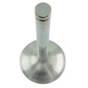 Intake Valve