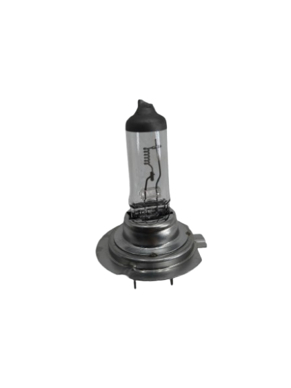 Bulb H7