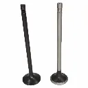 Intake Valve - 612630050146 (4).webp