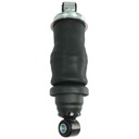 Cabin Shock Absorber RE