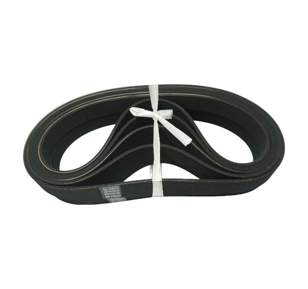 Belt 8PK800