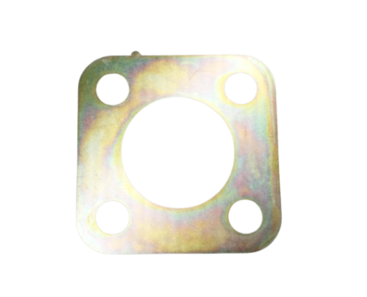 Coupling Flexible Plate