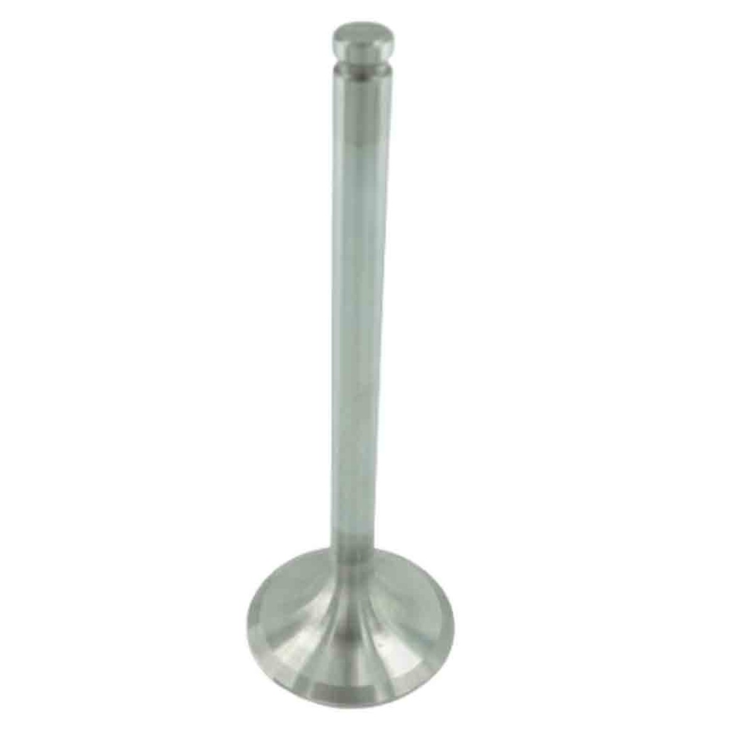 Engine Intake Valve
