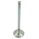 Intake Valve