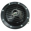 Electric Horn