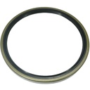 Wheel Hub Seal FR