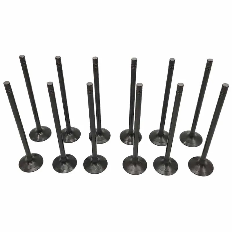 Intake Valve