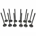 Intake Valve