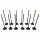 Exhaust Valve