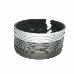 [VG1560030050/612600030053] Piston Ring Kit